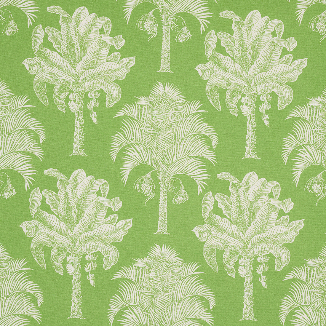 Grand Palms Indoor Outdoor fabric in green color - pattern number 180960 - by Schumacher in the Swing Time Indoor/Outdoor collection