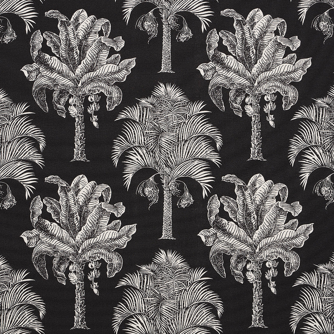Grand Palms Indoor Outdoor fabric in black color - pattern number 180962 - by Schumacher in the Swing Time Indoor/Outdoor collection