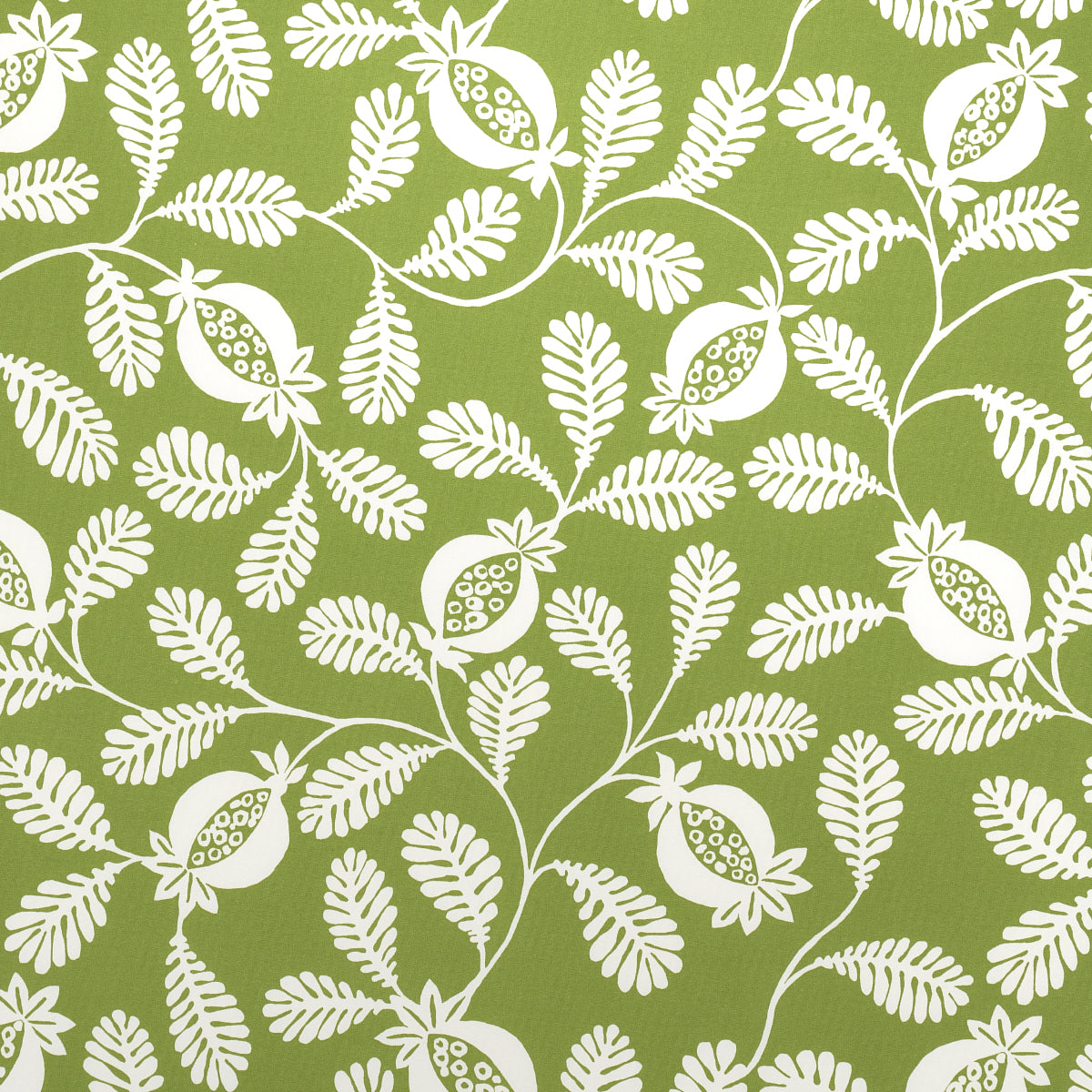 Lanzadera Vine Indoor Outdoor fabric in honeydew color - pattern number 180991 - by Schumacher in the Indoor/Outdoor Prints collection