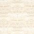 Ink Wave Print Indoor Outdoor fabric in natural color - pattern number 181051 - by Schumacher in the Trina Turk collection