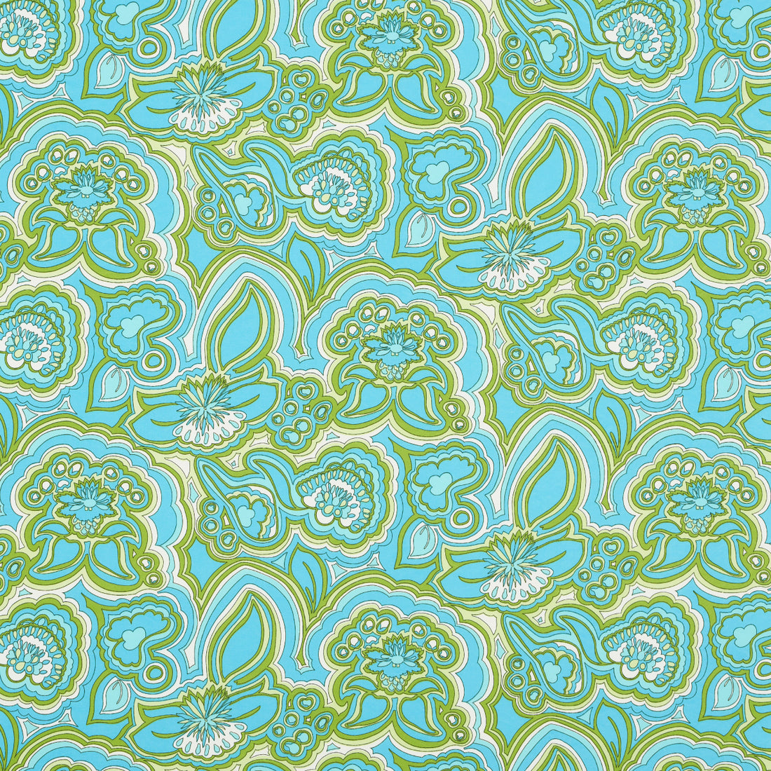 Morning Sunrise Indoor Outdoor fabric in fern color - pattern number 181061 - by Schumacher in the Trina Turk collection
