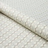 Centipede Stripe fabric in pumice color - pattern number 181441 - by Schumacher in the Neisha Crosland collection