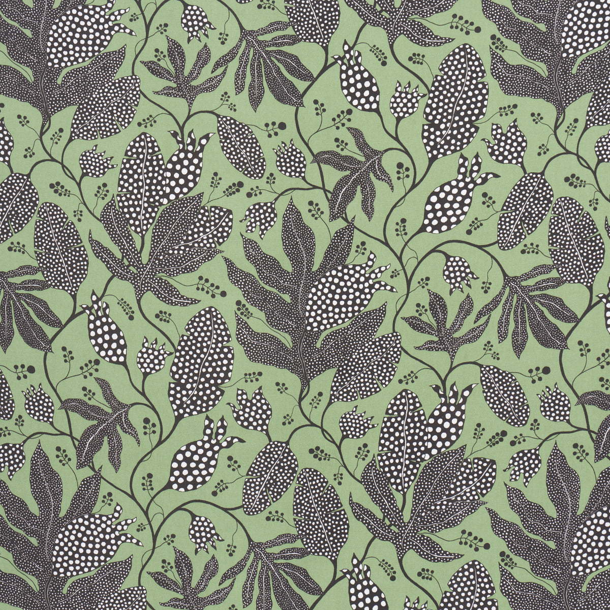 Polka Dot Jungle fabric in black and green color - pattern number 181651 - by Schumacher in the Marian Mcevoy collection