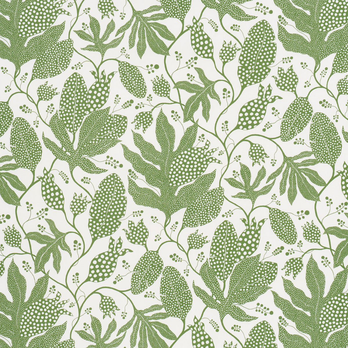 Polka Dot Jungle fabric in green and ivory color - pattern number 181652 - by Schumacher in the Marian Mcevoy collection