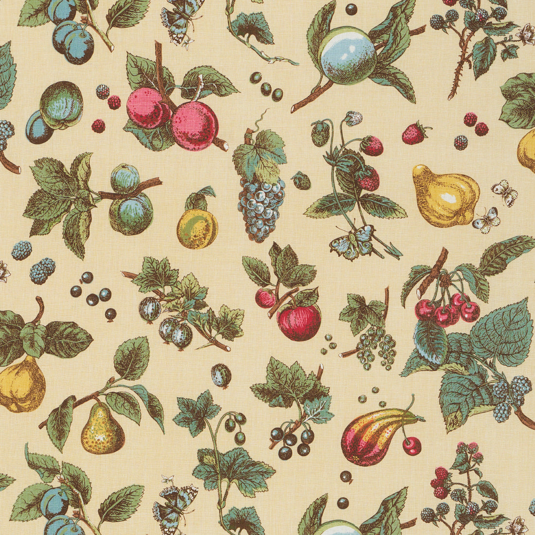 Berry Grove fabric in butter color - pattern number 181892 - by Schumacher in the Schumacher Classics collection