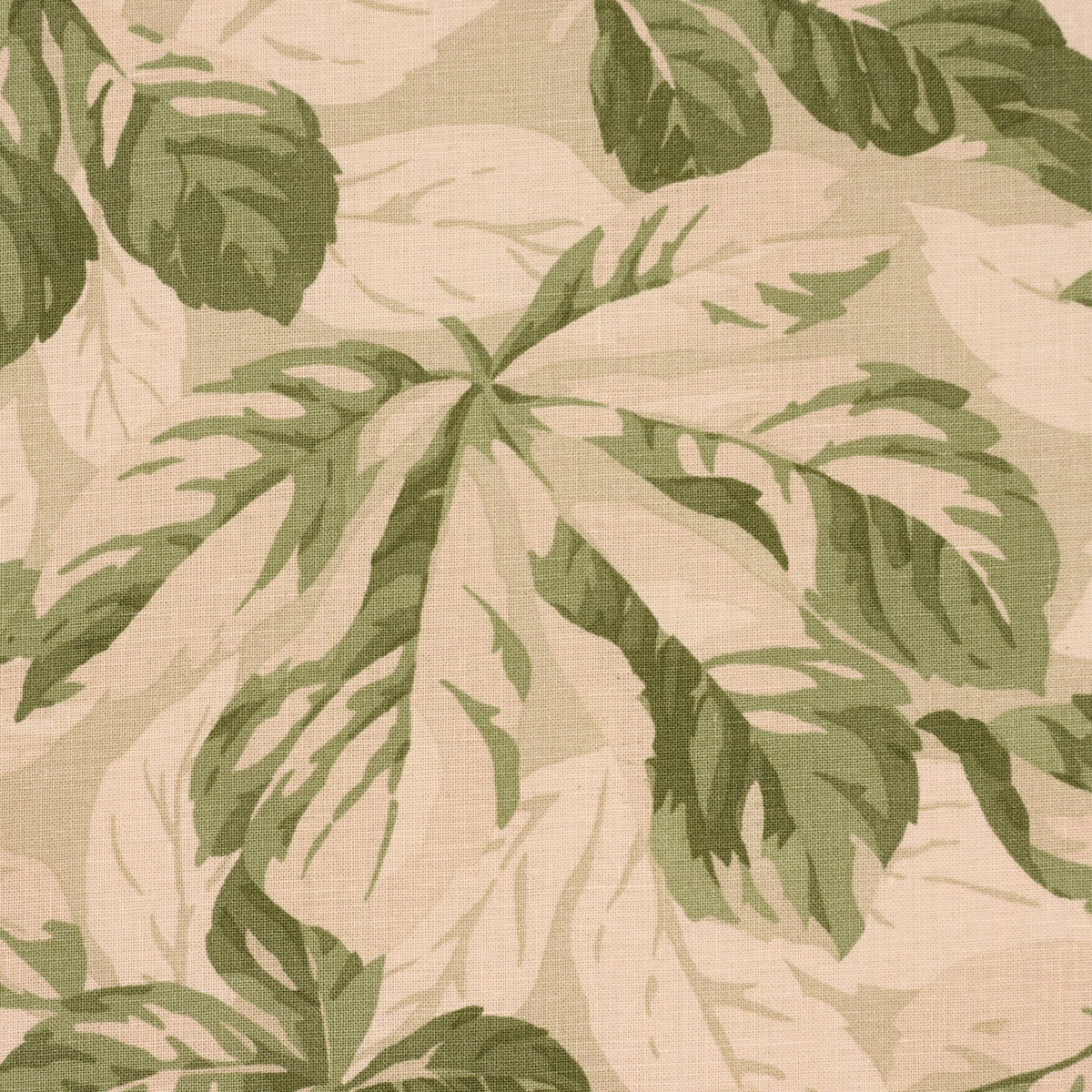 Arboreal fabric in sage color - pattern number 182650 - by Schumacher in the Schumacher Classics collection