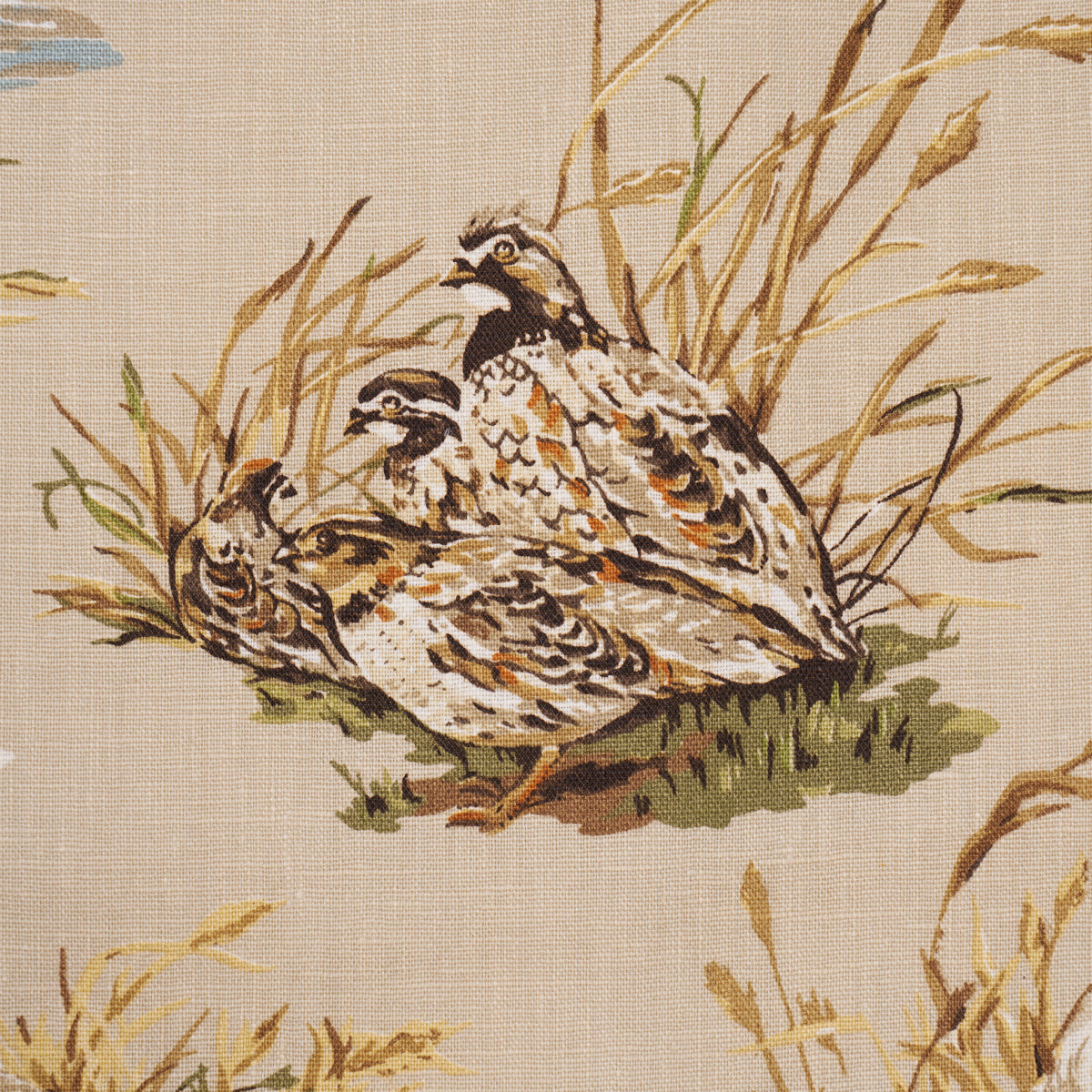 Dog &amp; Duck fabric in alabaster color - pattern number 182660 - by Schumacher in the A Country Life collection