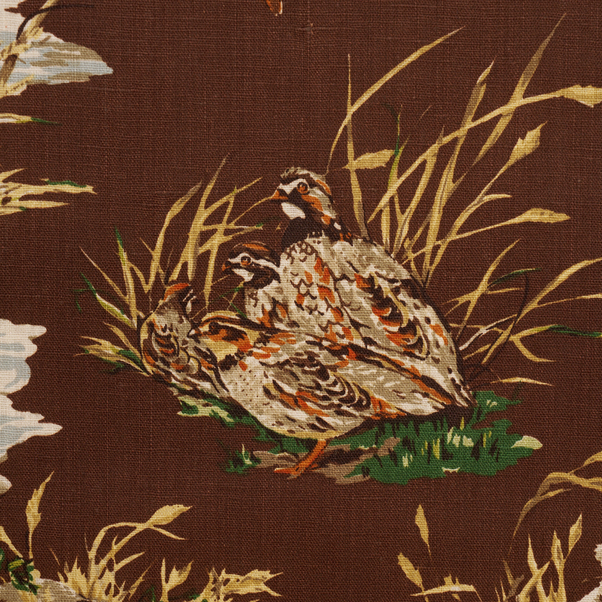 Dog &amp; Duck fabric in brown color - pattern number 182661 - by Schumacher in the A Country Life collection