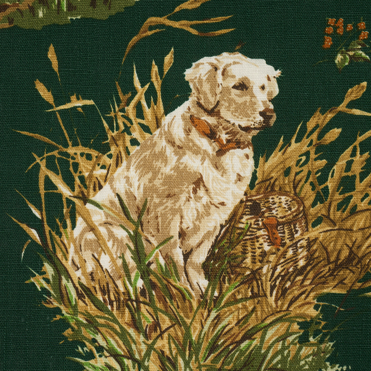 Dog &amp; Duck fabric in verdant color - pattern number 182662 - by Schumacher in the A Country Life collection