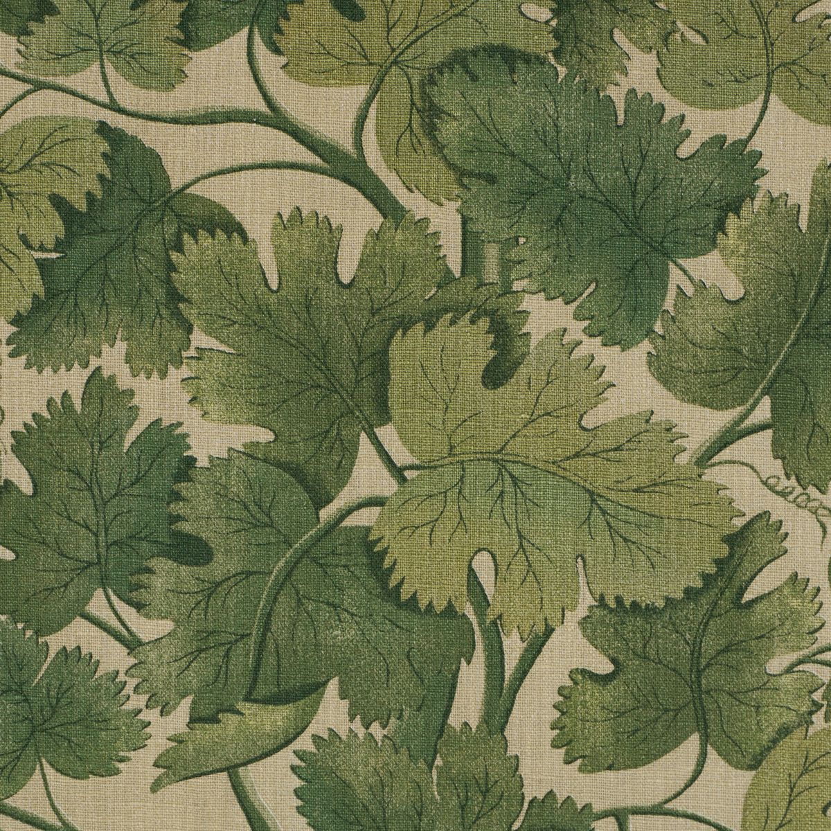 Edinburgh Vine fabric in moss color - pattern number 182790 - by Schumacher in the A Country Life collection