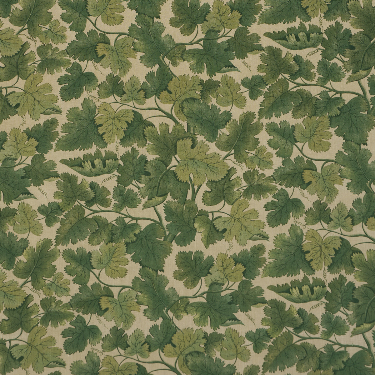 Edinburgh Vine fabric in moss color - pattern number 182790 - by Schumacher in the A Country Life collection