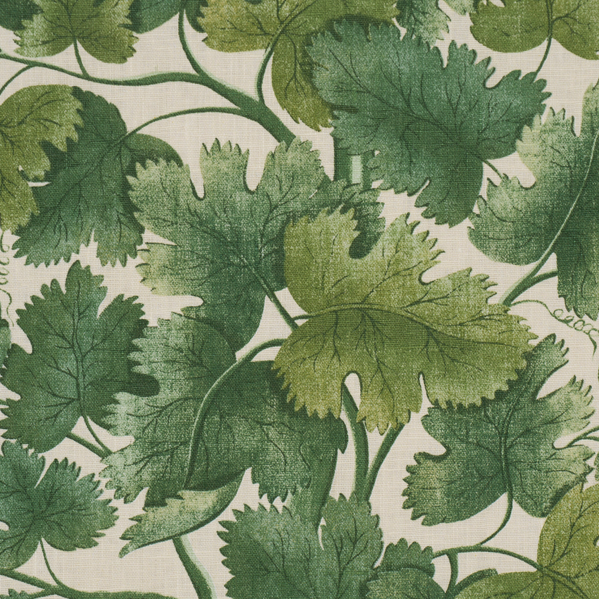 Edinburgh Vine fabric in forest color - pattern number 182791 - by Schumacher in the A Country Life collection