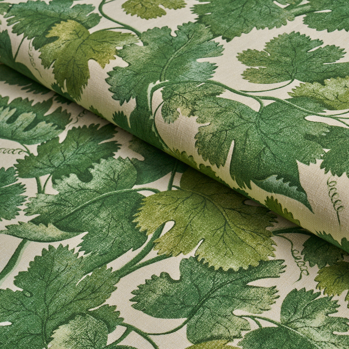 Edinburgh Vine fabric in forest color - pattern number 182791 - by Schumacher in the A Country Life collection