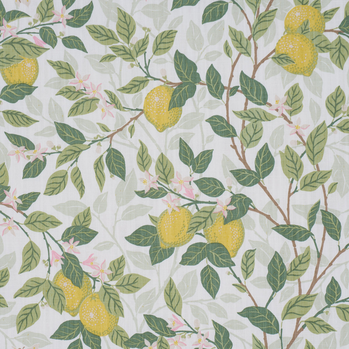 Citronträd fabric in ivory and leaf color - pattern number 182950 - by Schumacher in the Borastapeter collection