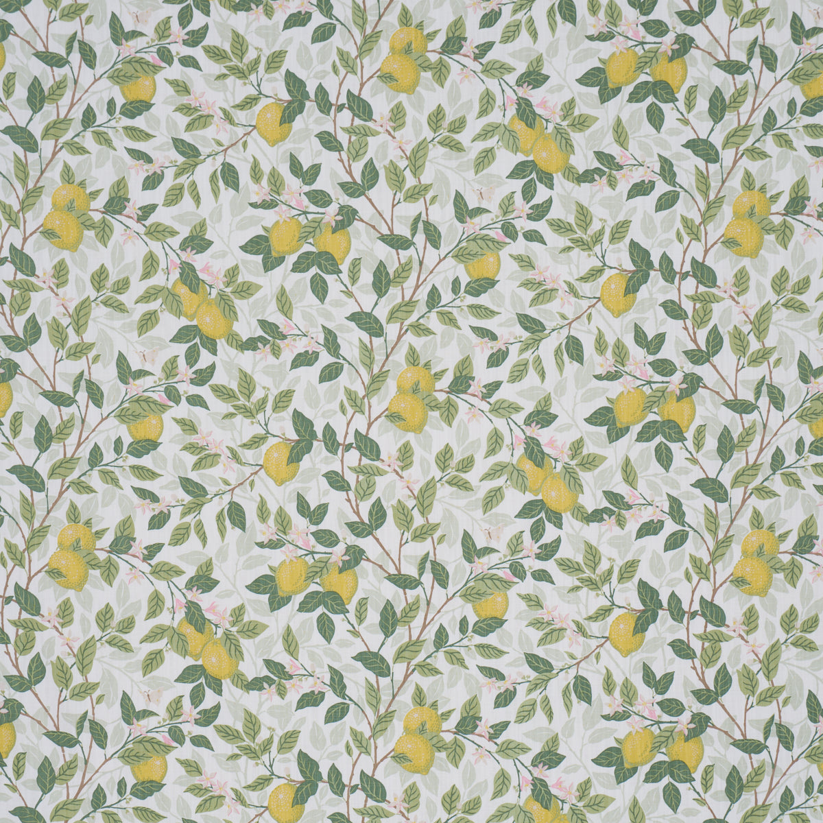 Citronträd fabric in ivory and leaf color - pattern number 182950 - by Schumacher in the Borastapeter collection