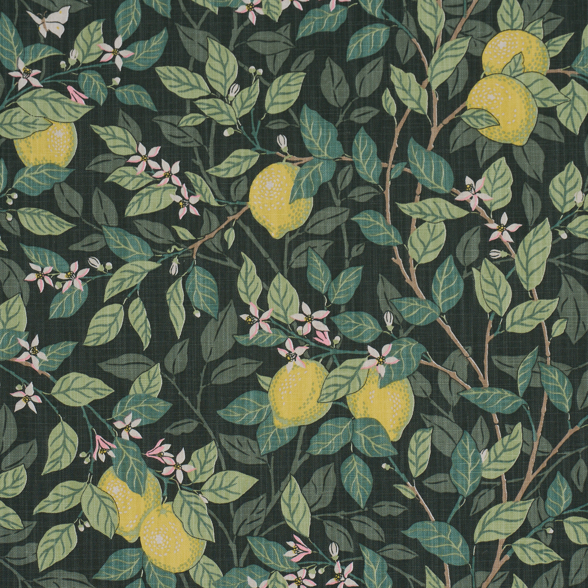 Citronträd fabric in green color - pattern number 182951 - by Schumacher in the Borastapeter collection