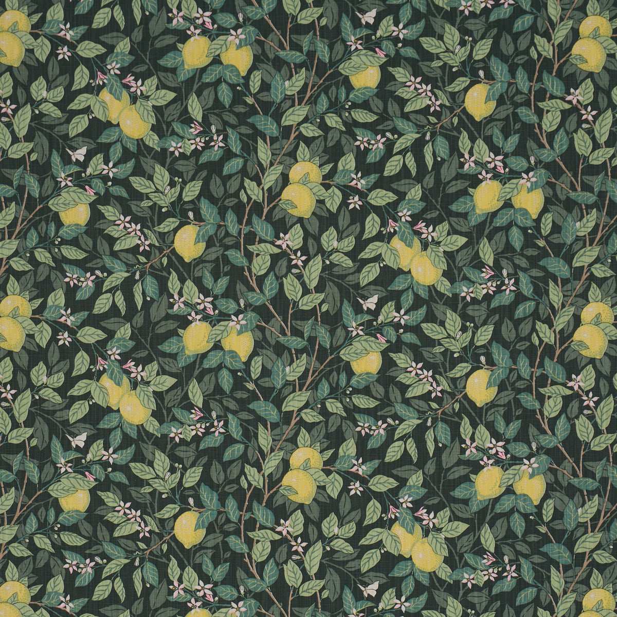 Citronträd fabric in green color - pattern number 182951 - by Schumacher in the Borastapeter collection