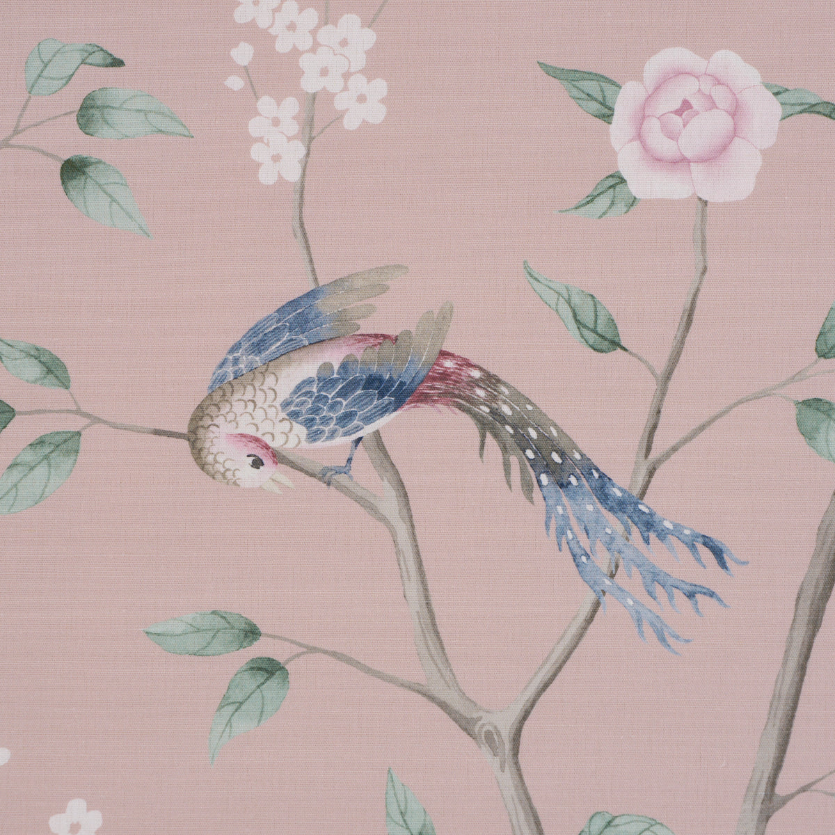 Paradise Birds fabric in blush color - pattern number 183031 - by Schumacher in the Borastapeter collection