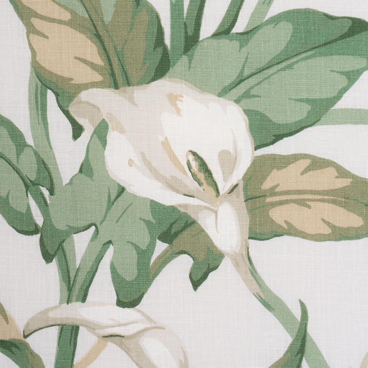 Arum Lilies fabric in Ivory color - pattern number 183120 - by Schumacher in the Schumacher Classics collection