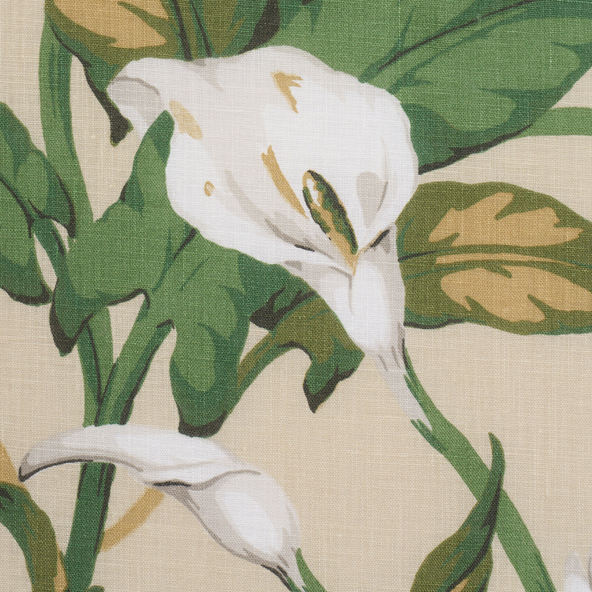 Arum Lilies fabric in Parchment color - pattern number 183122 - by Schumacher in the Schumacher Classics collection