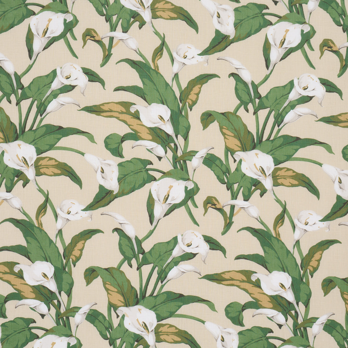 Arum Lilies fabric in Parchment color - pattern number 183122 - by Schumacher in the Schumacher Classics collection
