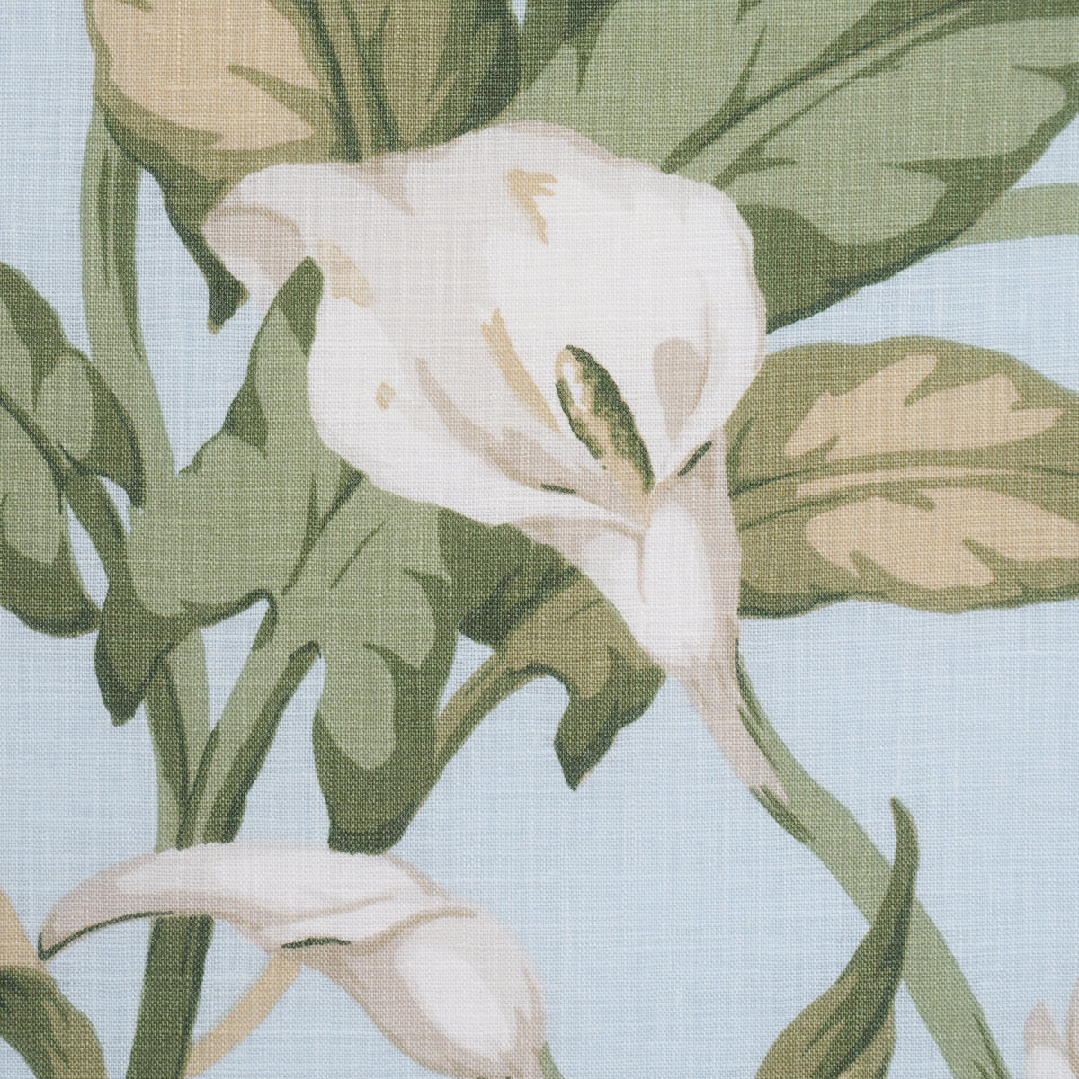 Arum Lilies fabric in Sky color - pattern number 183123 - by Schumacher in the Schumacher Classics collection