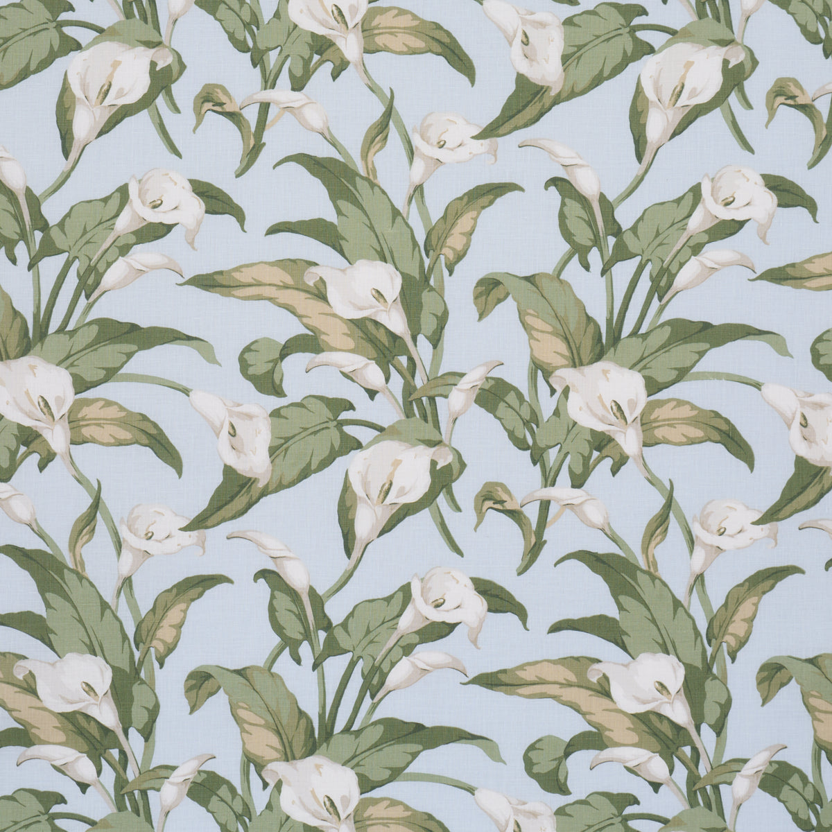 Arum Lilies fabric in Sky color - pattern number 183123 - by Schumacher in the Schumacher Classics collection