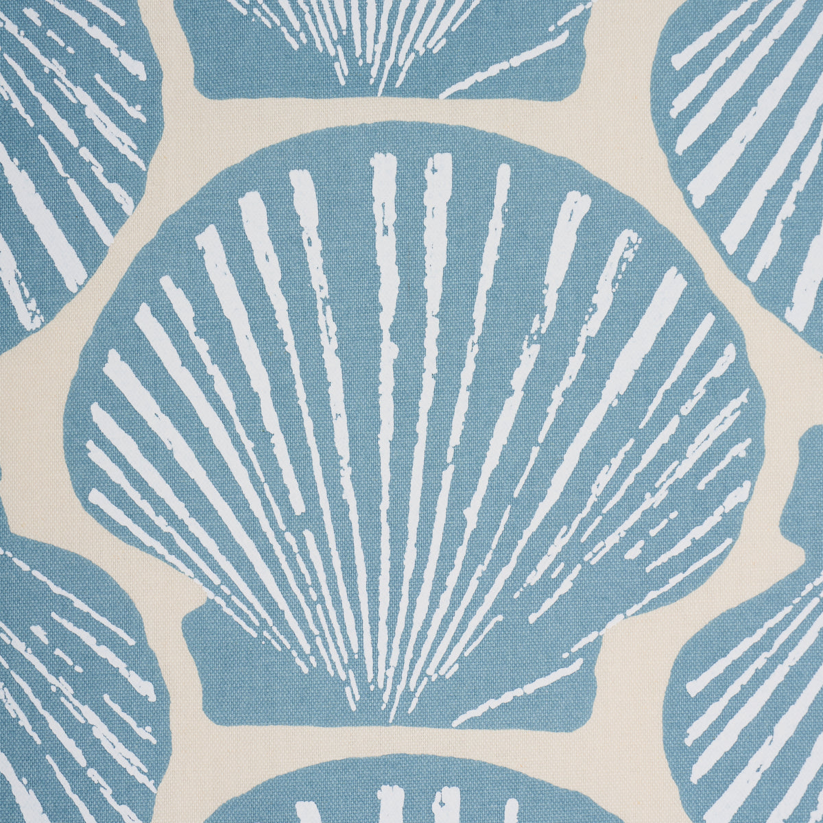 Scallop Shell fabric in Light Blue color - pattern number 183771 - by Schumacher in the Tillett collection