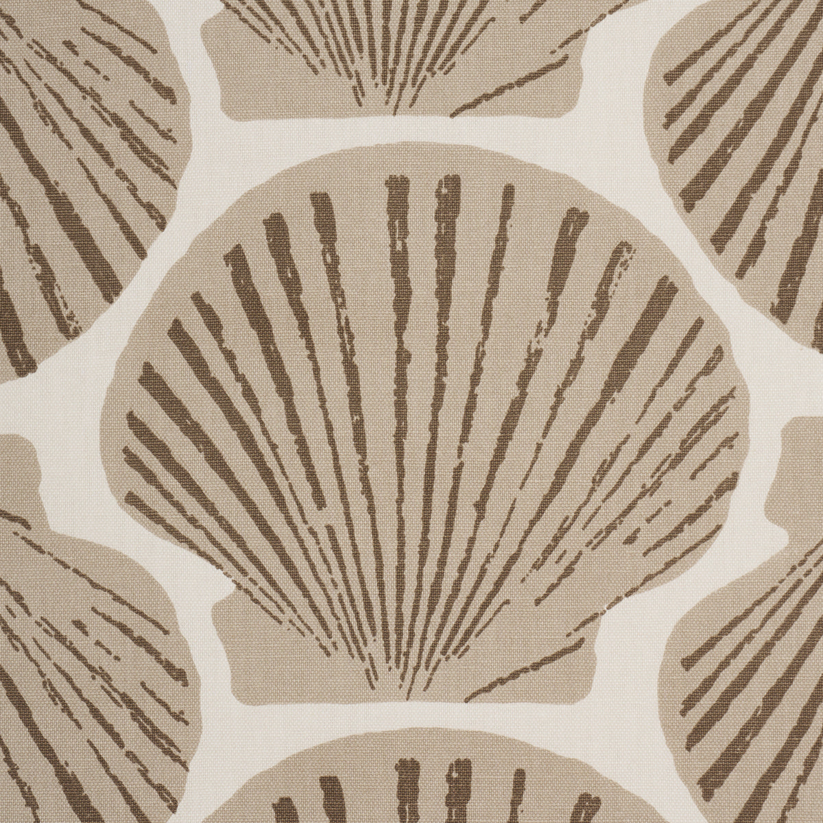 Scallop Shell fabric in Natural color - pattern number 183772 - by Schumacher in the Tillett collection