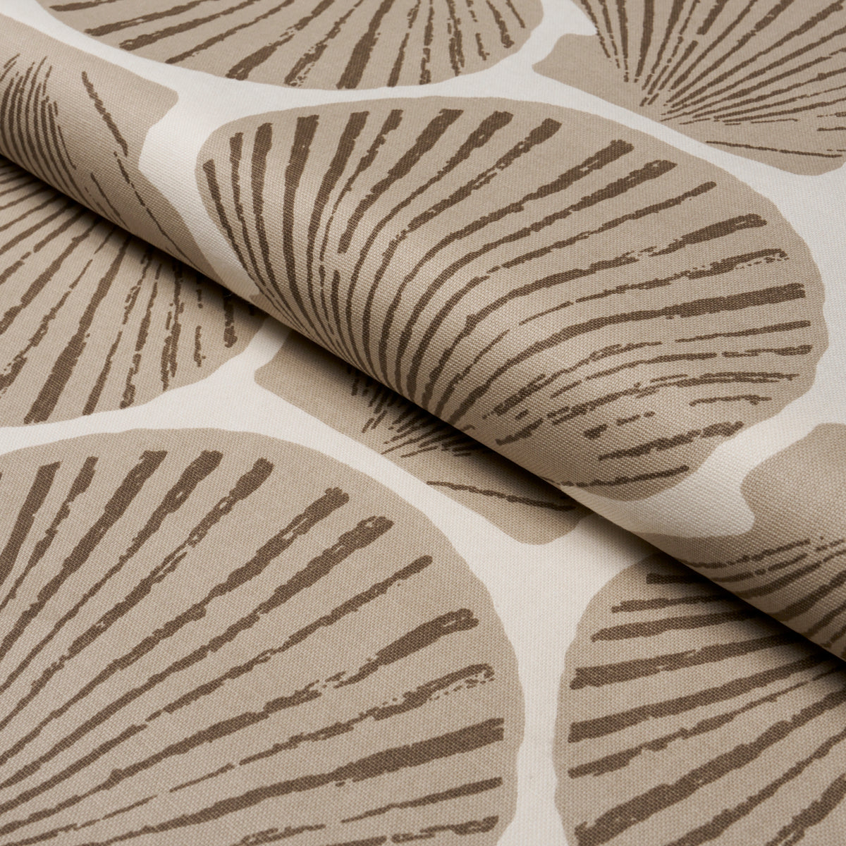 Scallop Shell fabric in Natural color - pattern number 183772 - by Schumacher in the Tillett collection