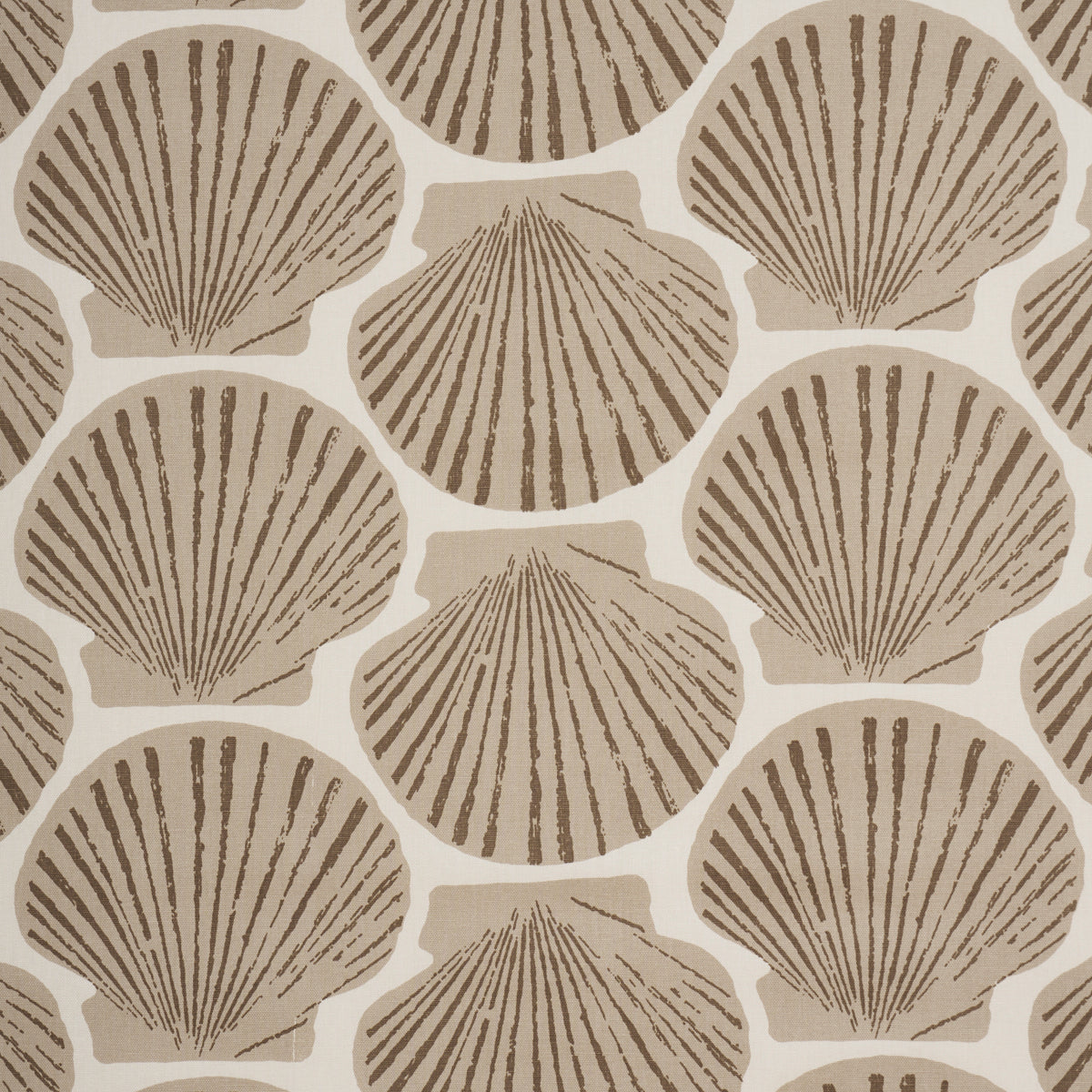 Scallop Shell fabric in Natural color - pattern number 183772 - by Schumacher in the Tillett collection