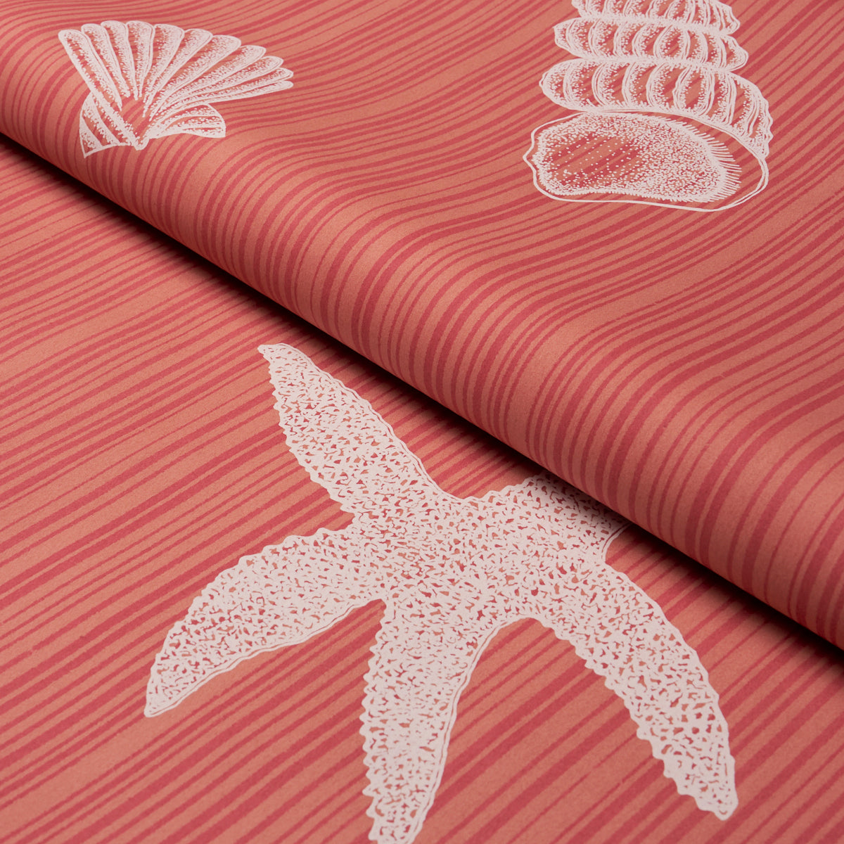 Seashells fabric in Coral color - pattern number 183802 - by Schumacher in the Tillett collection