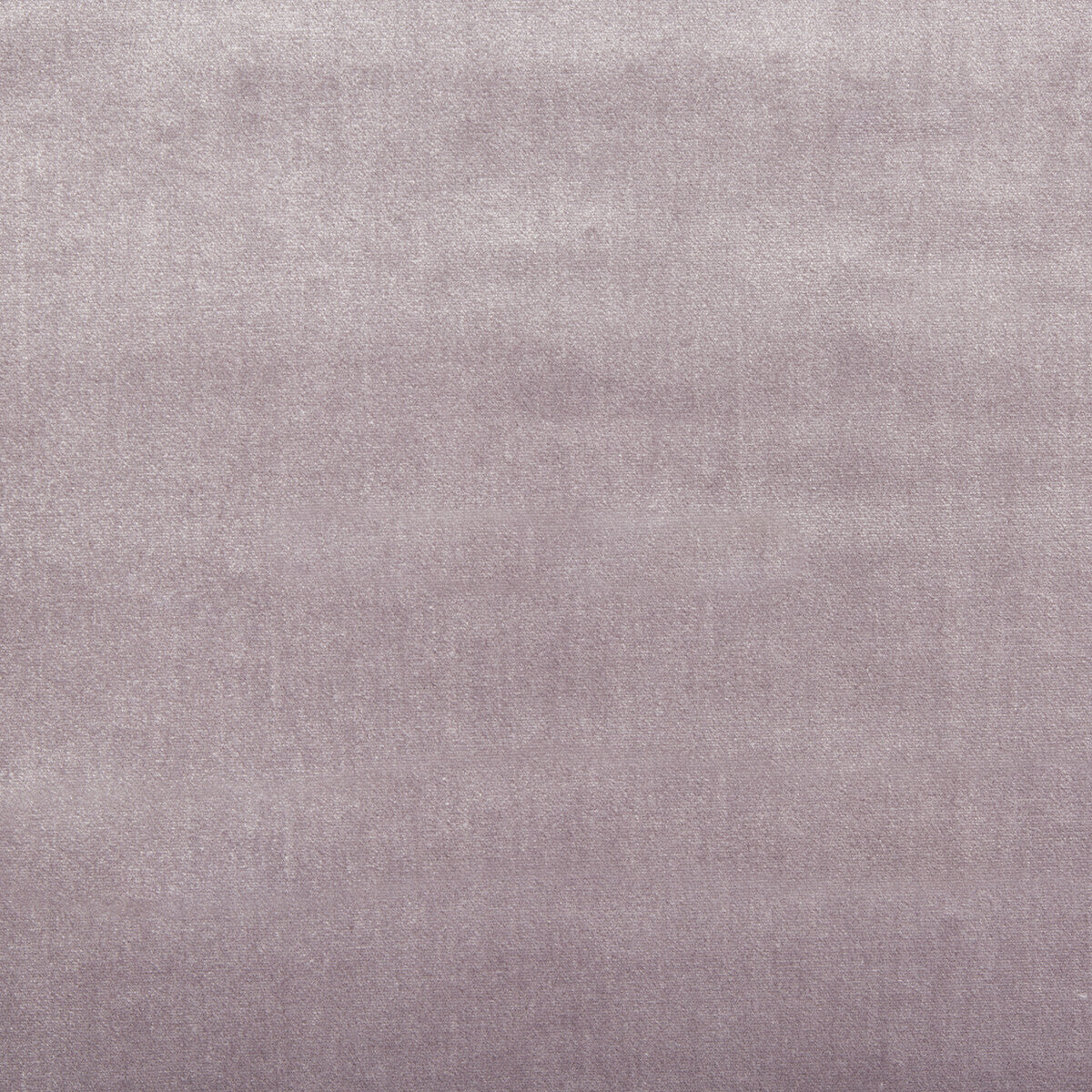 Duchess Velvet fabric in lilac color - pattern 2016121.10.0 - by Lee Jofa
