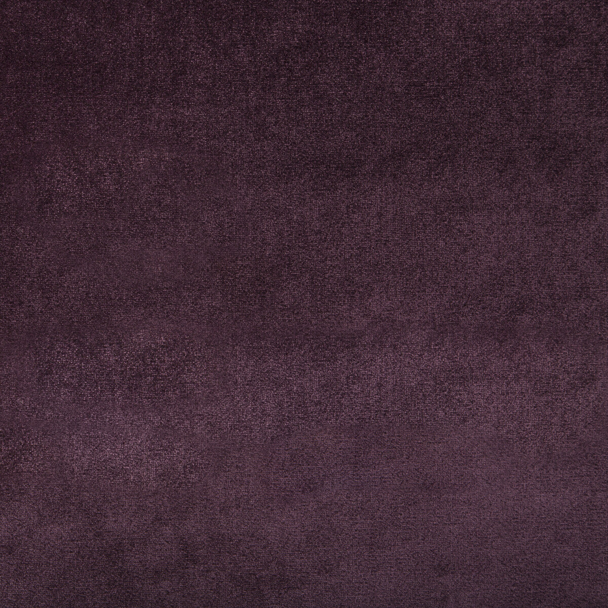 Duchess Velvet fabric in purple color - pattern 2016121.1010.0 - by Lee Jofa
