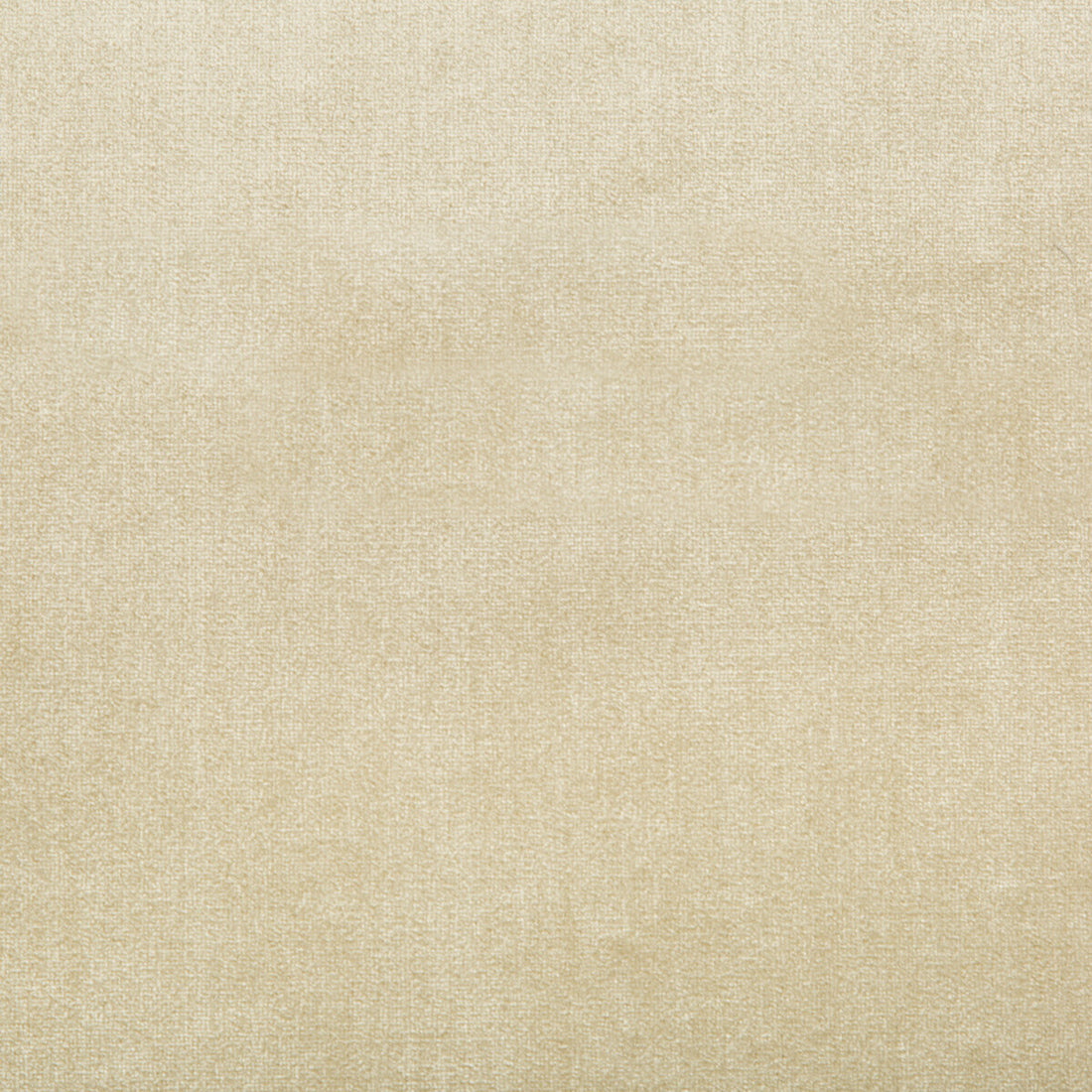 Duchess Velvet fabric in beige color - pattern 2016121.116.0 - by Lee Jofa
