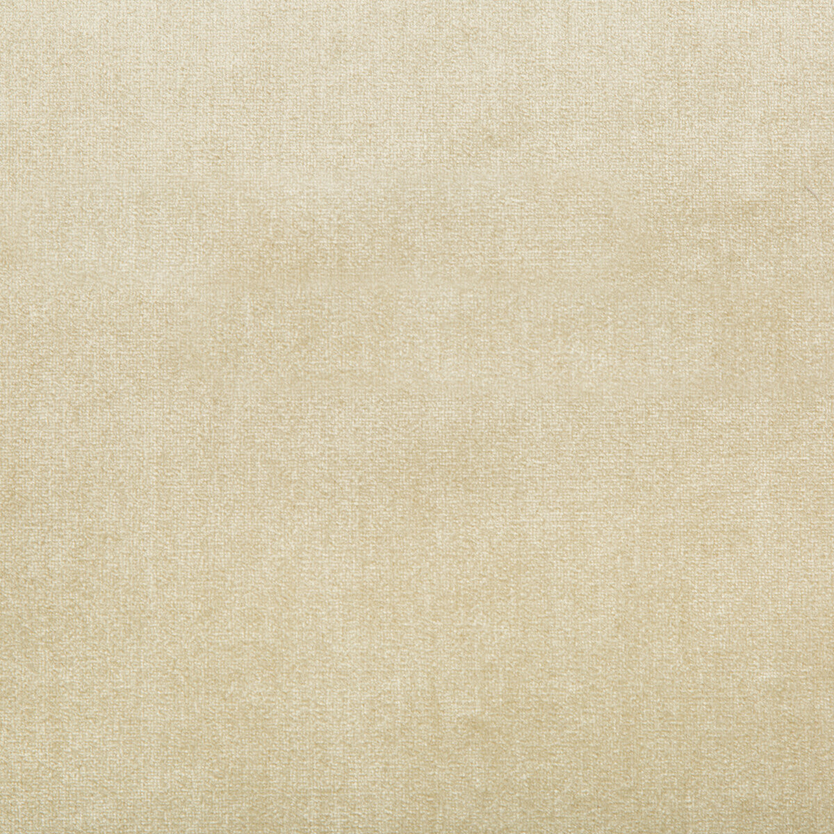 Duchess Velvet fabric in beige color - pattern 2016121.116.0 - by Lee Jofa