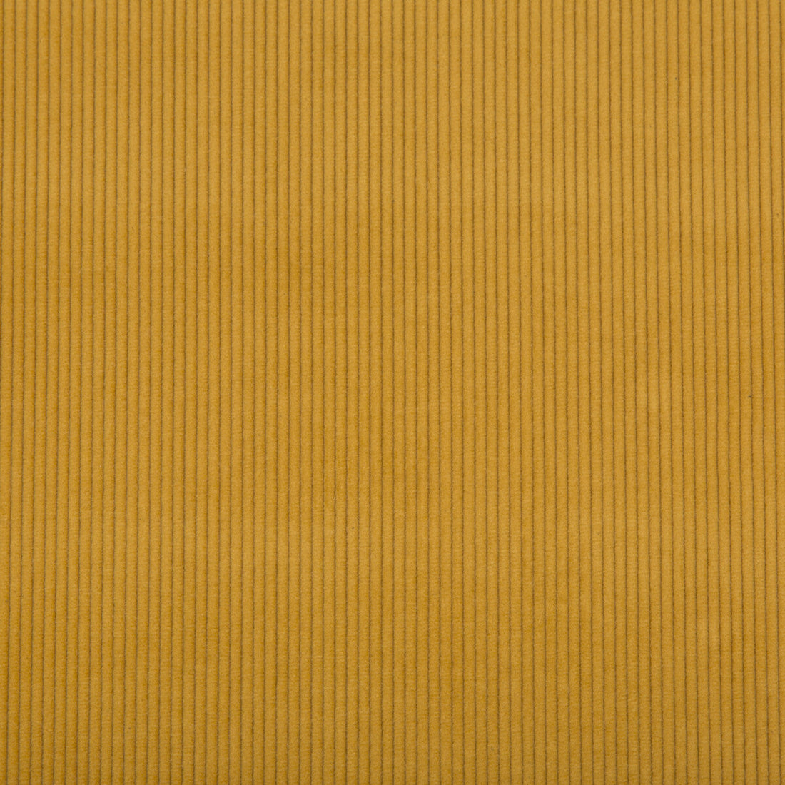 Saranac Cord fabric in gold color - pattern 2017121.40.0 - by Lee Jofa