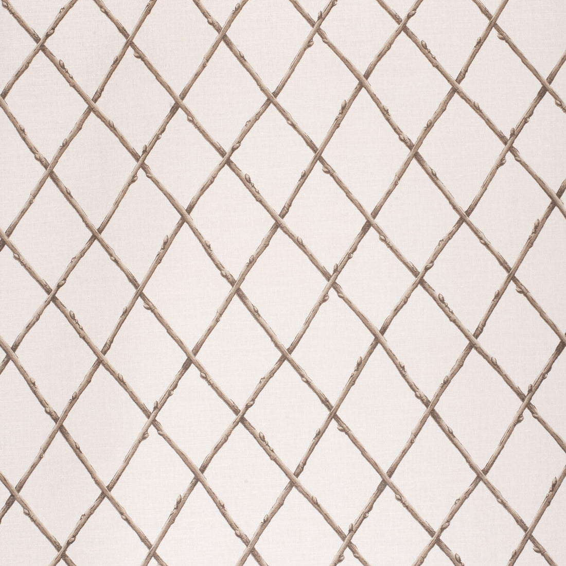 Bare Twig Trellis fabric in bro/ecr color - pattern 2020116.1166.0 - by Lee Jofa in the Paolo Moschino Fabrics collection