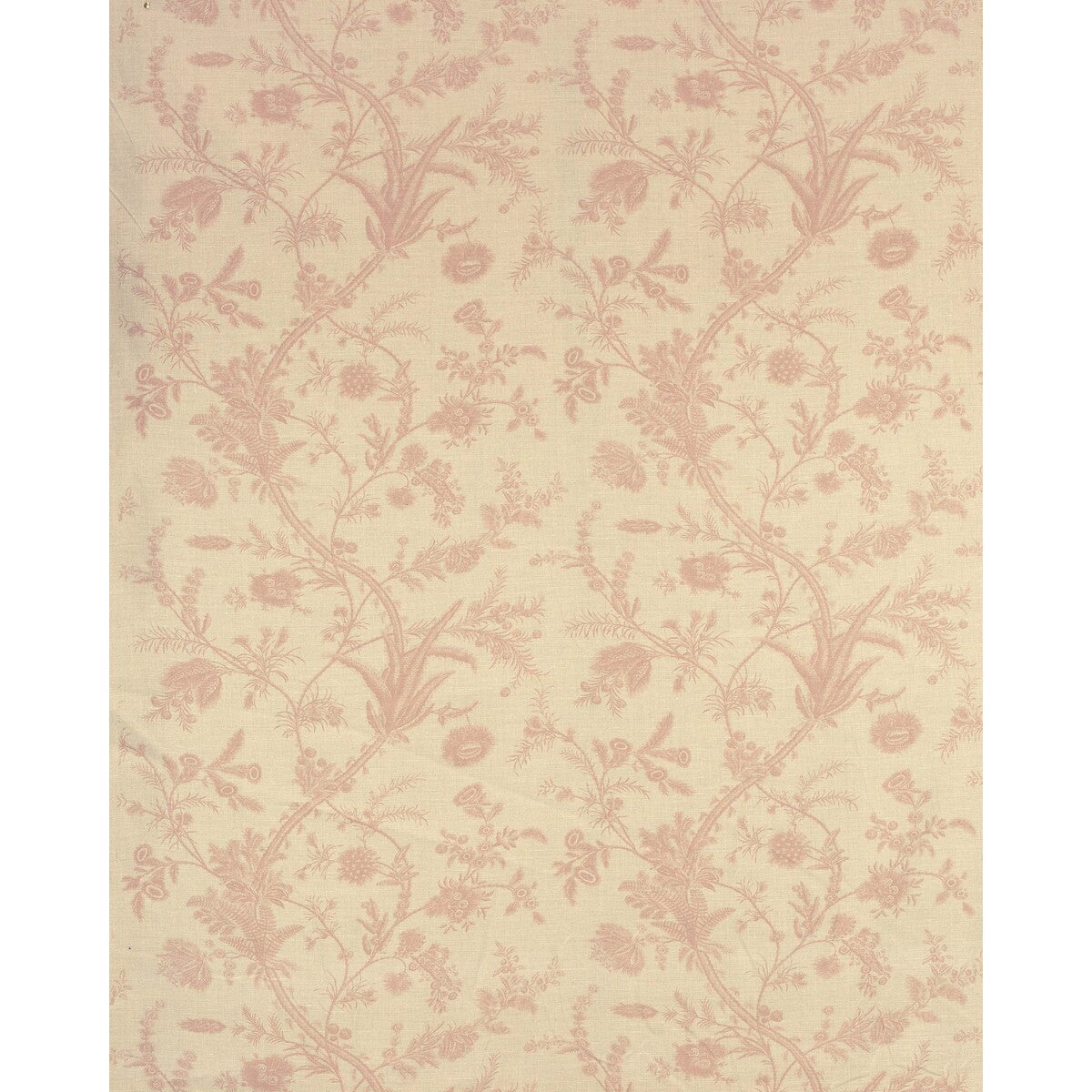 Plumes fabric in antique pink color - pattern 2022123.716.0 - by Lee Jofa in the Paolo Moschino Persepolis collection