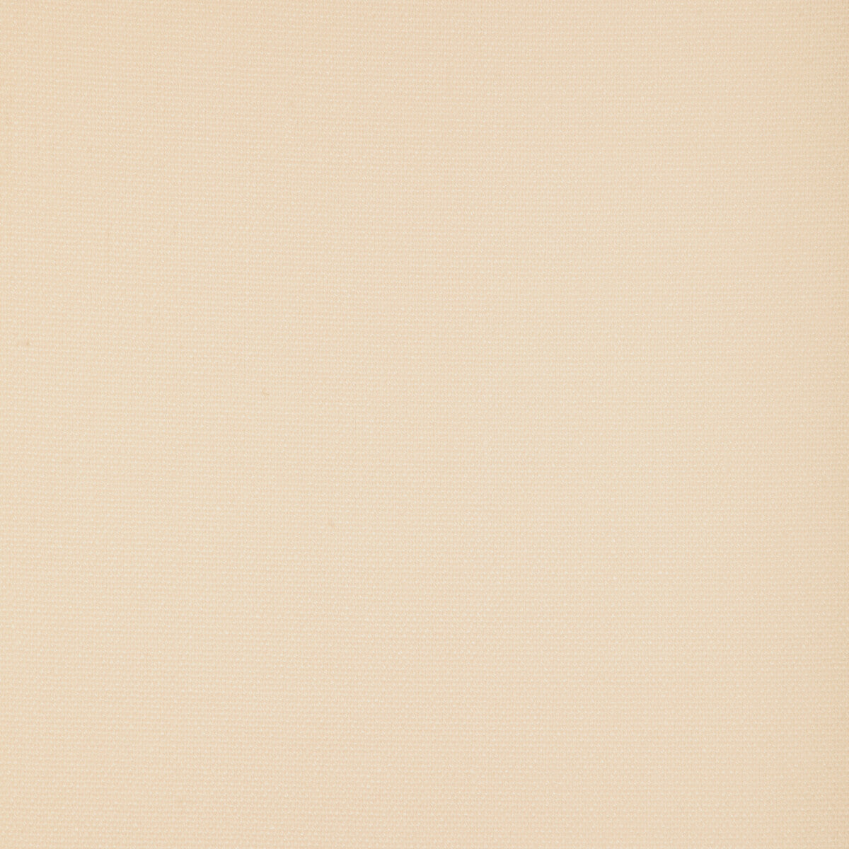 Sarasota Weave fabric in cream color - pattern number 2025119.1.0 - by Lee Jofa in the Lilly Pulitzer III collection
