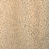 Safari Warp Print fabric in desert color - pattern number 2025132.16.0 - by Lee Jofa in the Whitley Hall collection