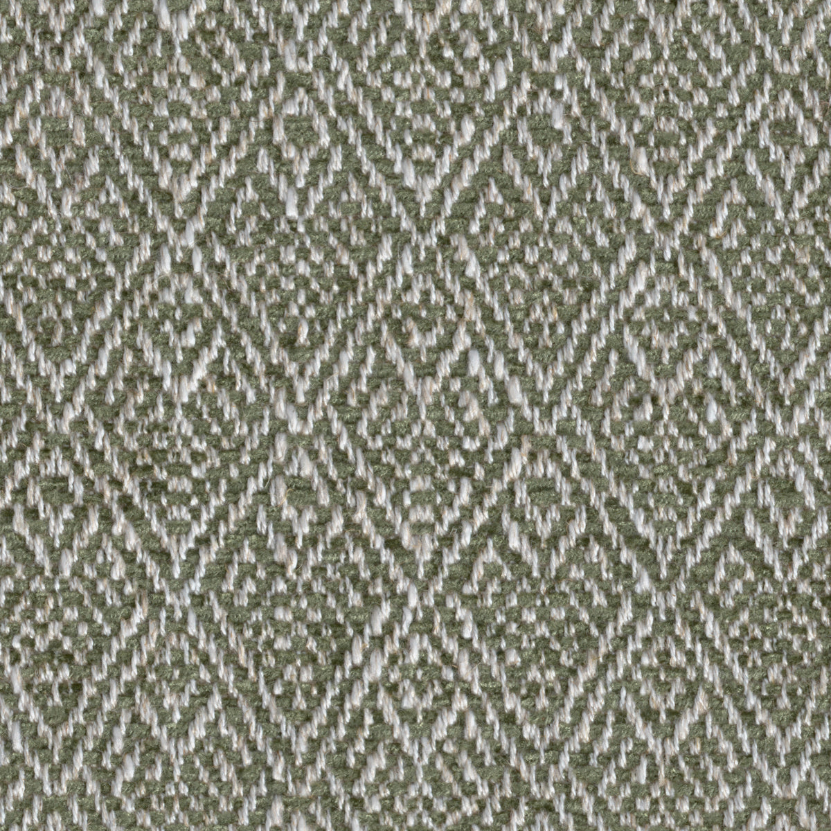 Trellis Weave fabric in Moss color - pattern number 2026137.316.0 - by Lee Jofa in the Gracie Gardens collection