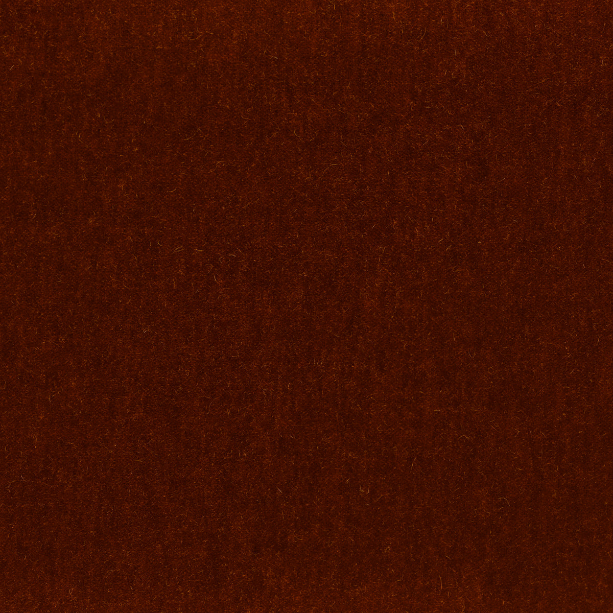 Cavelle Mohair Velvet fabric in Claret color - pattern number 2026138.124.0 - by Lee Jofa in the Paolo Moschino Cavelle Mohair Velvet collection
