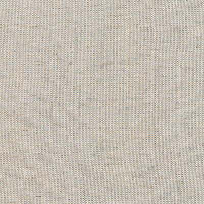 Wickerwork fabric in dew color - pattern 25394.516.0 - by Kravet Couture in the Barbara Barry Collection collection