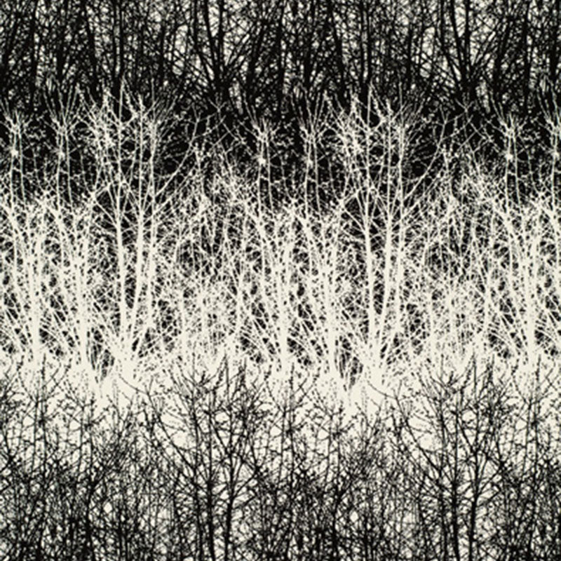 Birches fabric in black color - pattern number 2644021 - by Schumacher in the Modern Nature collection
