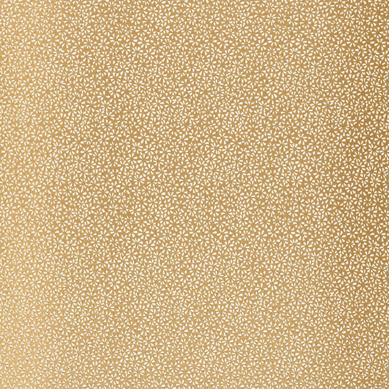 Kyousha Silk fabric in champagne color - pattern number 2644521 - by Schumacher in the Modern Glamour collection