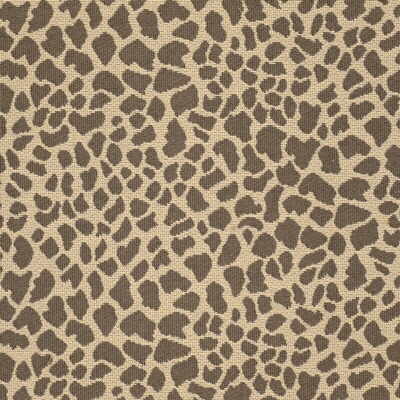 Daktari fabric in leopard color - pattern 27500.616.0 - by Kravet Basics