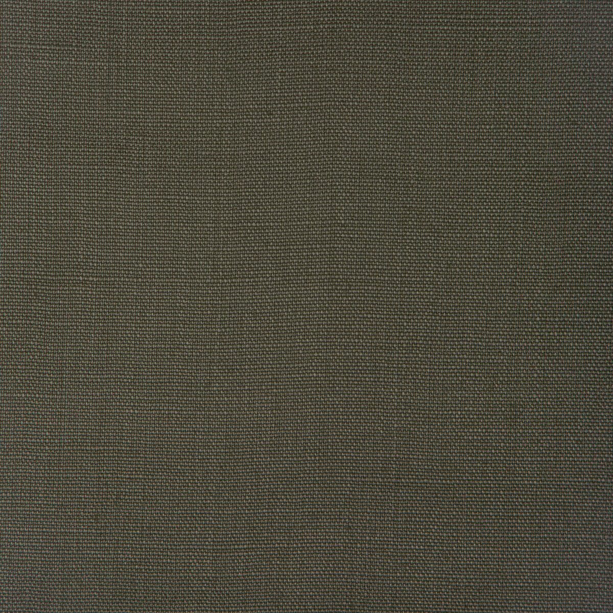 Stone Harbor fabric in kelp color - pattern number 27591.3003.0 - by Kravet Basics in the The Complete Linen IV collection