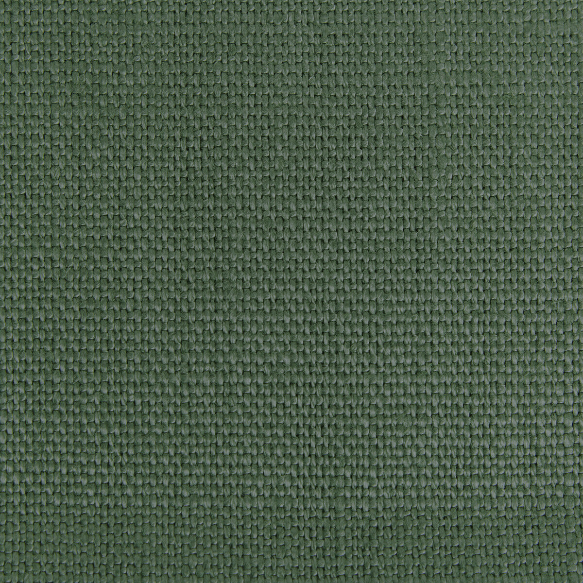 Stone Harbor fabric in grass color - pattern 27591.3333.0 - by Kravet Basics