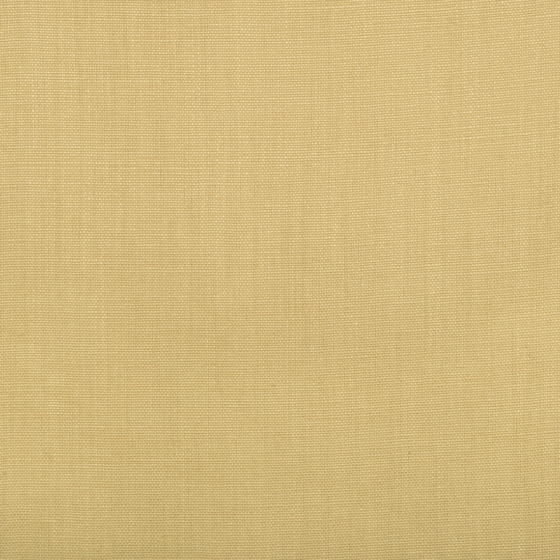 Stone Harbor fabric in wheat color - pattern 27591.414.0 - by Kravet Basics